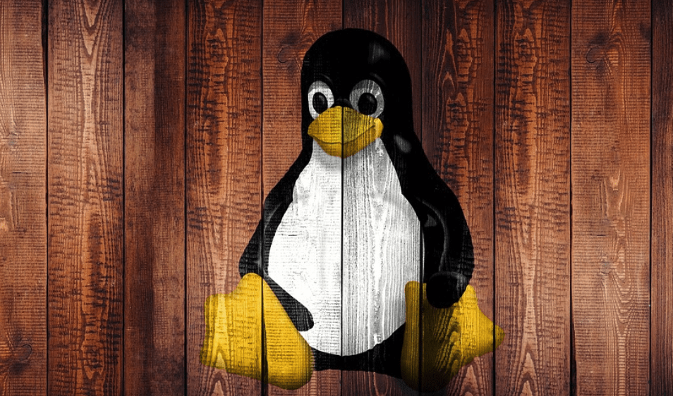 Linux Caratteri Speciali