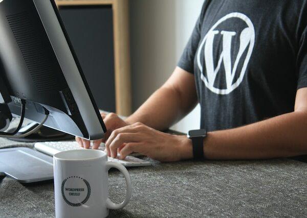 E se WordPress un giorno sparisse? Milioni di siti distrutti