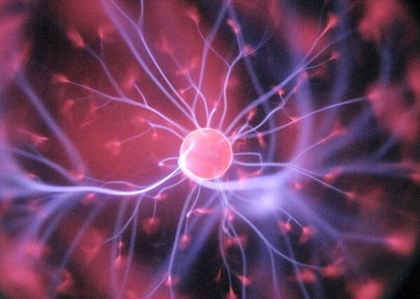 L’importanza del Mindset nel Lavoro e nella Vita