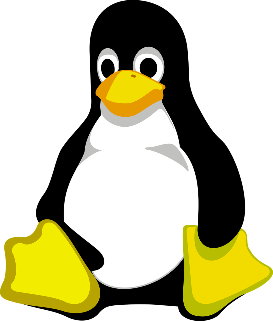 Dual Boot: Installare Linux Ubuntu insieme a Windows