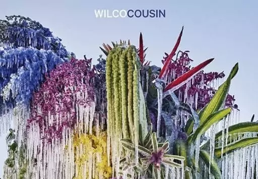 Wilco Cousin cd album