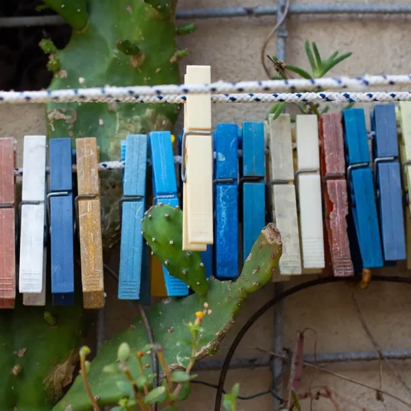 L’Asciugatrice Perfetta: Vantaggi e Consigli per una Casa Efficiente ed Ecosostenibile