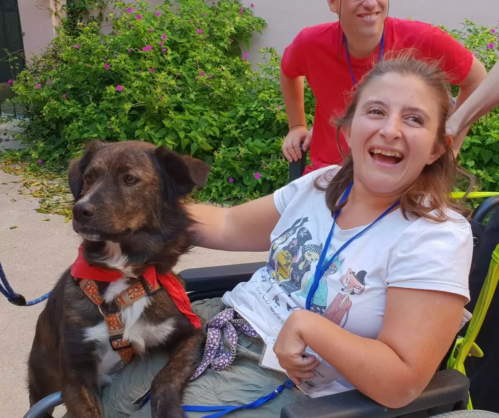 Pet Therapy