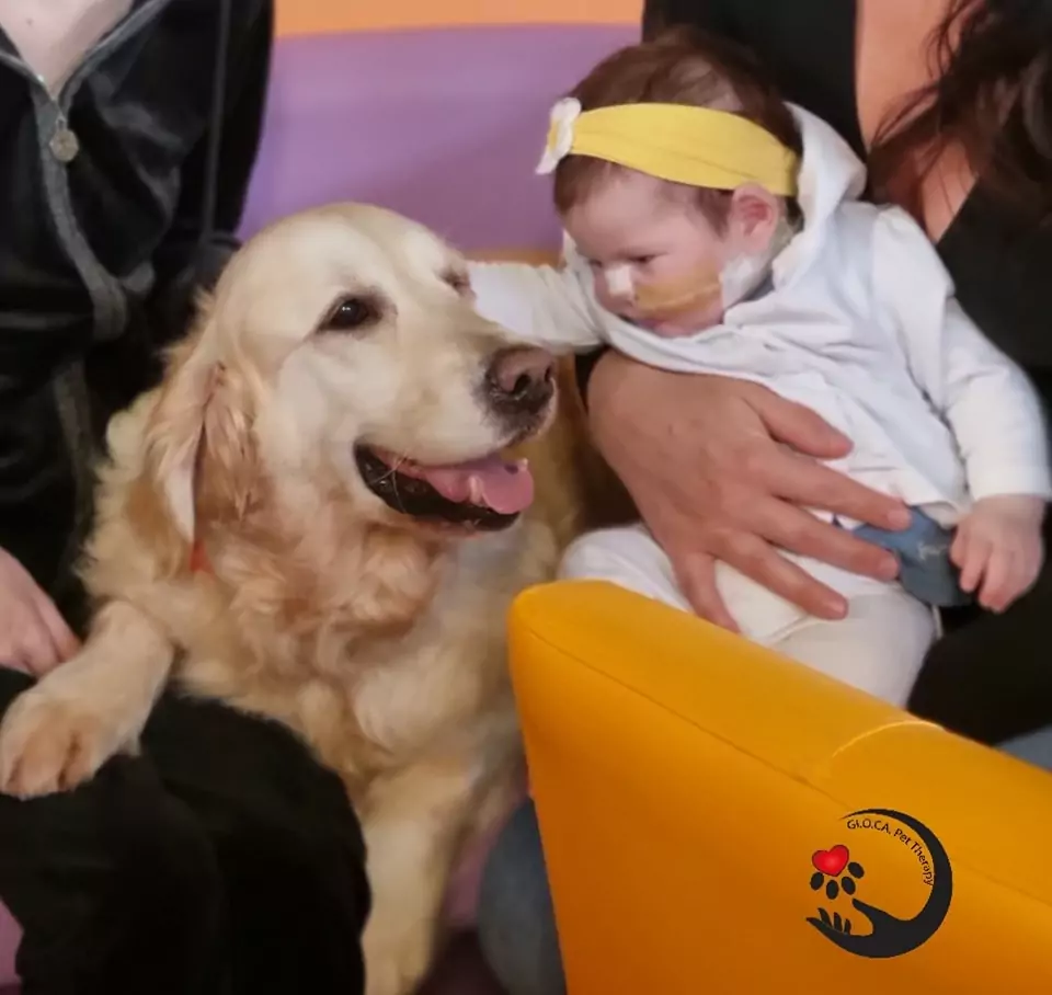 GI.O.CA Associazione animali