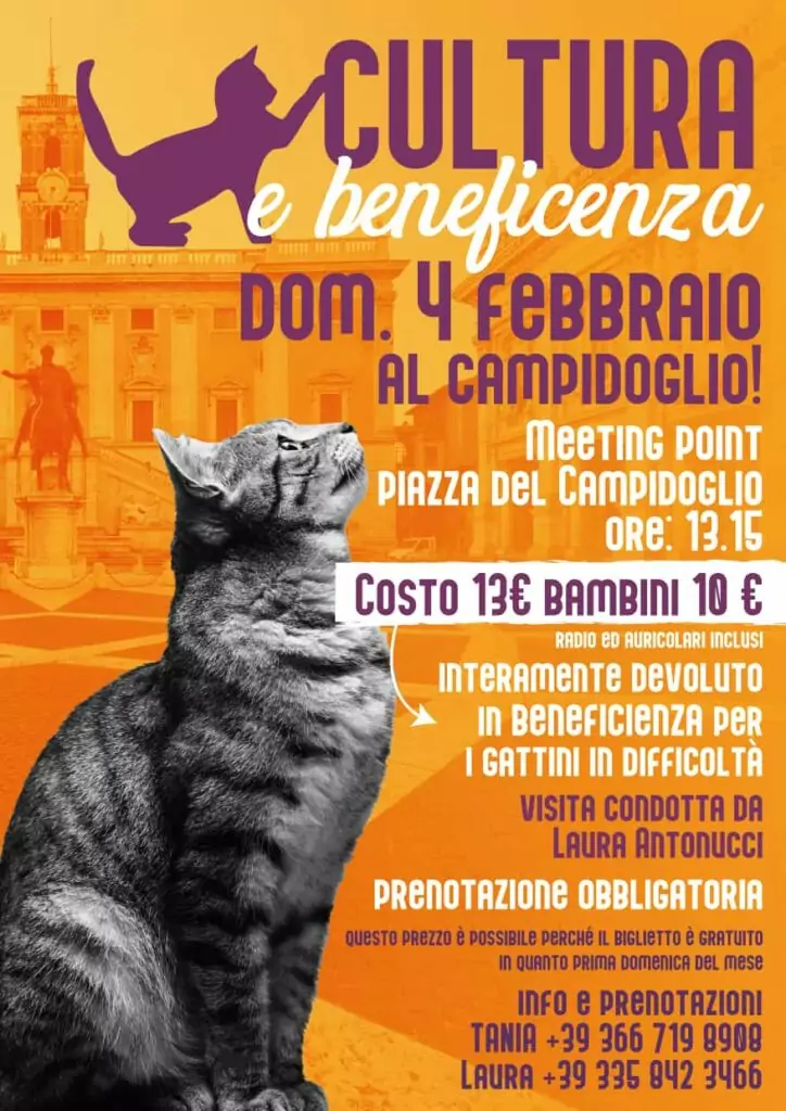 Cultura beneficenza loca ndina gatti