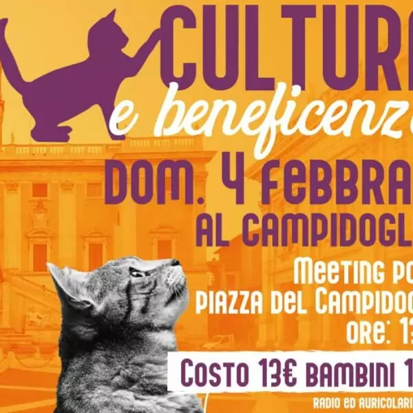 Cultura beneficenza evento mici