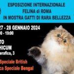 Esposizione Felina internazionale Roma