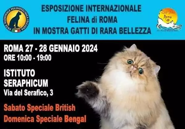 Esposizione Felina internazionale Roma