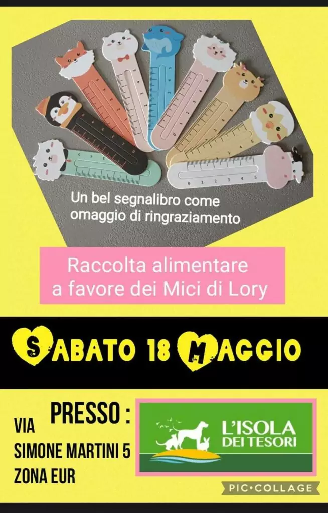 Raccolta pappe Roma