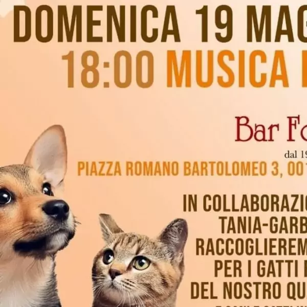 Aperitivo benefico pets