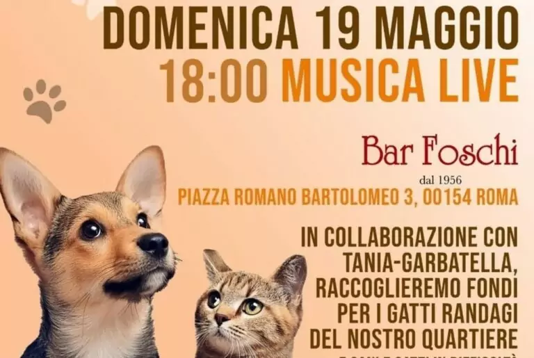 Aperitivo benefico pets