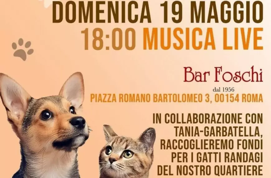 Aperitivo benefico pets