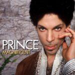 Prince Musicology Magnificent