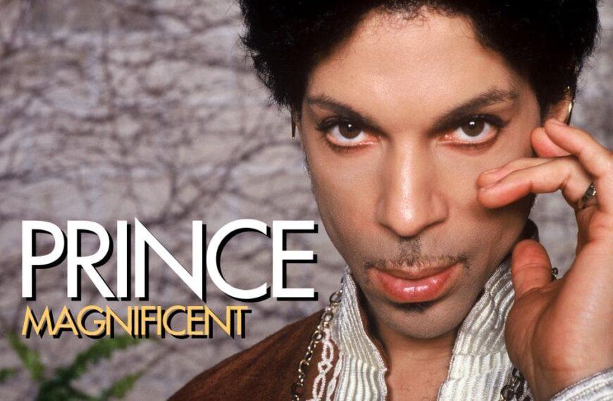 Prince Musicology Magnificent