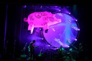 Pink Floyd Immersion spettacolo