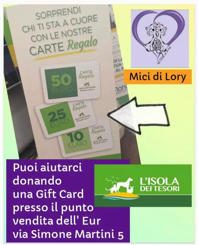 locandina I Mici di Lory