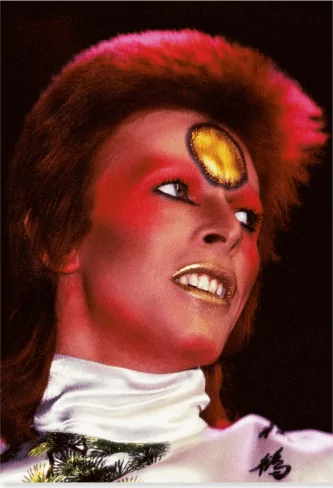 Ziggy Stardust David Bowie