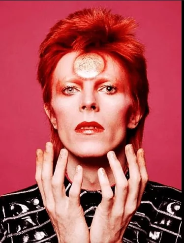 Ziggy Stardust David Bowie