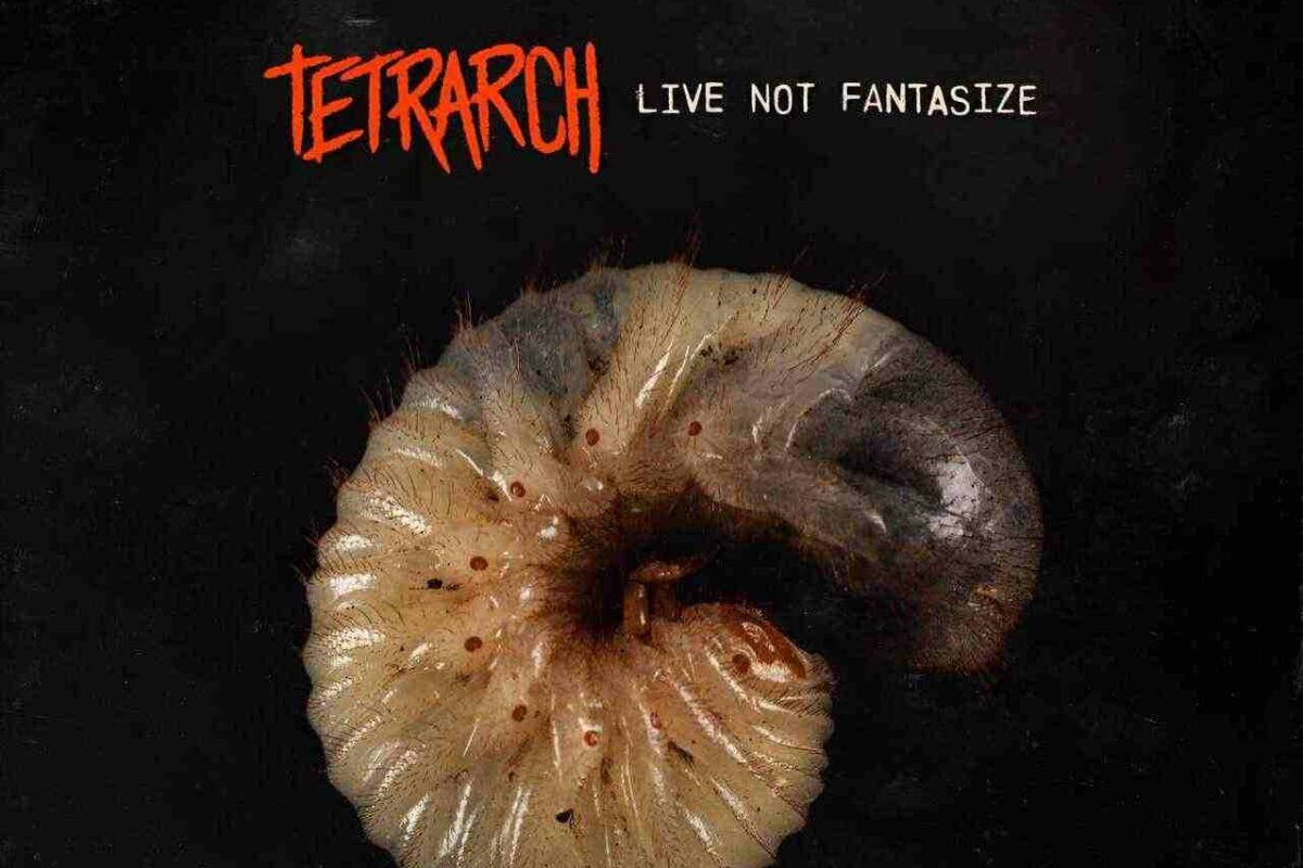 Tetrarch Live Not Fantasize