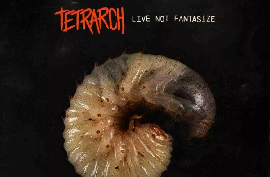 Tetrarch Live Not Fantasize