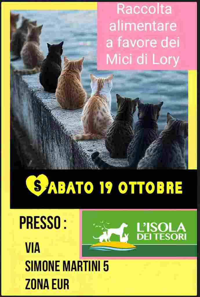 Raccolta alimentare 19 ottobre L’Isola dei Tesori mici di lory