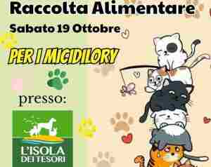 Raccolta alimentare 19 ottobre