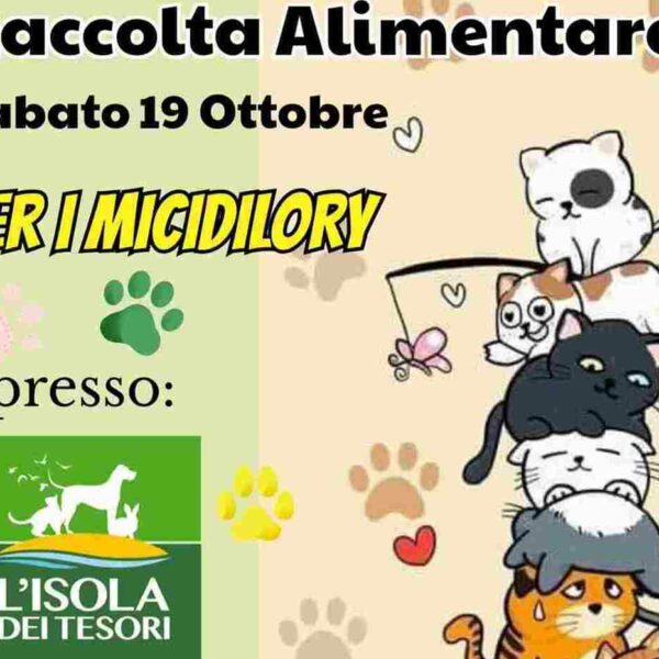 Raccolta alimentare 19 ottobre