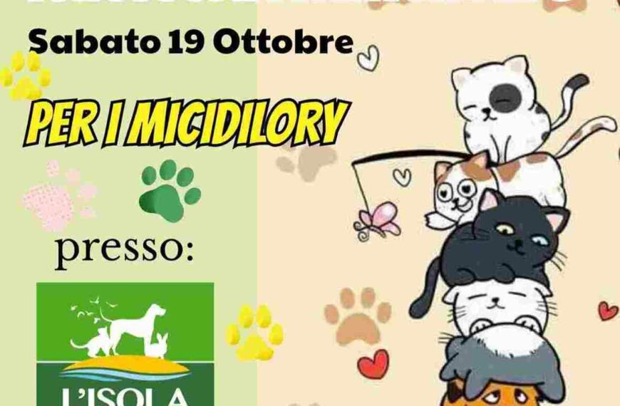 Raccolta alimentare 19 ottobre