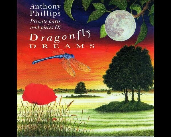 Dragonfly Dreams