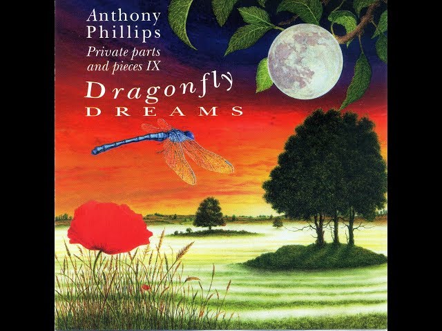 Dragonfly Dreams