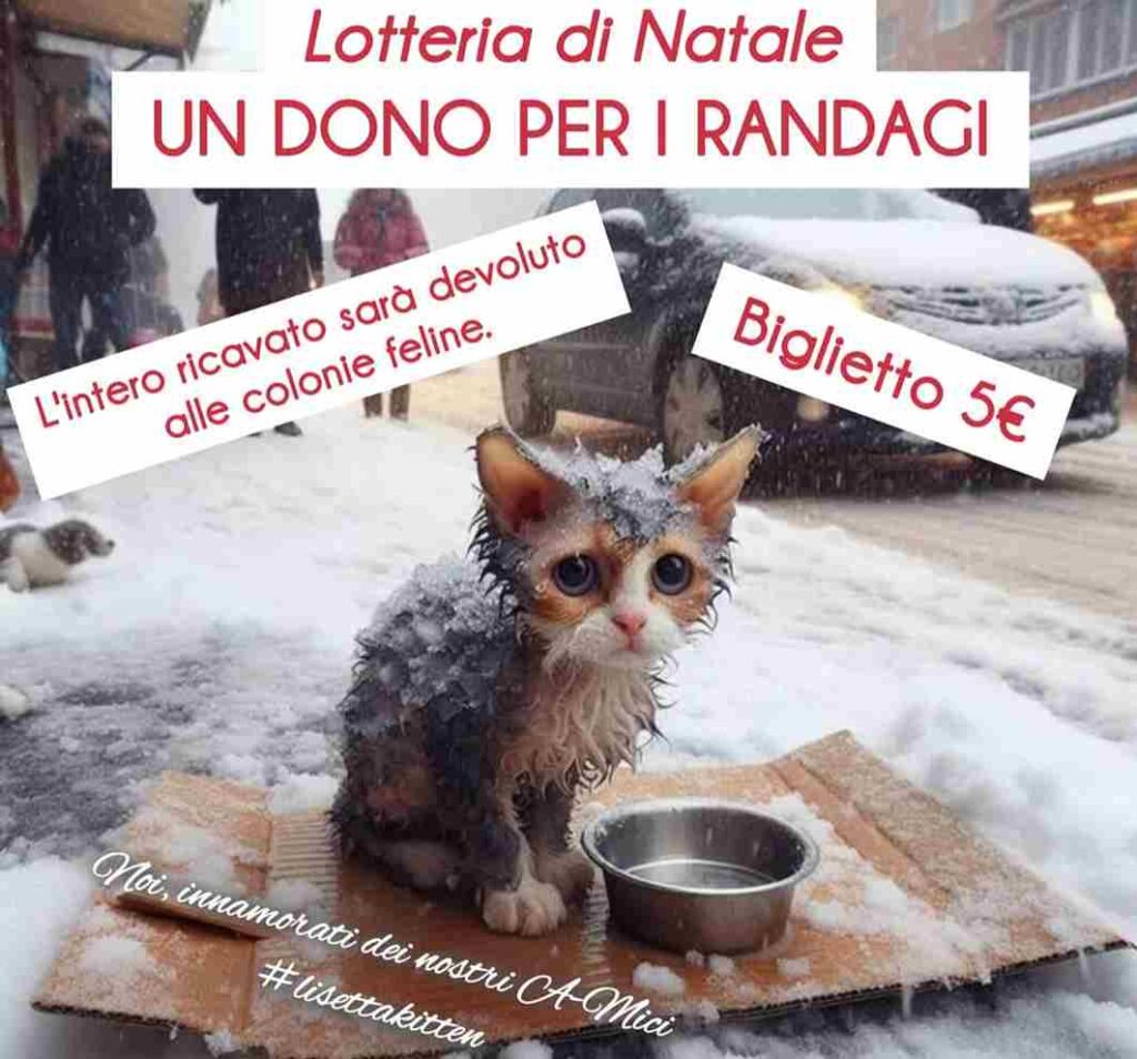 Lotteria Un Dono per i Randagi