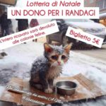 Un Dono per i Randagi