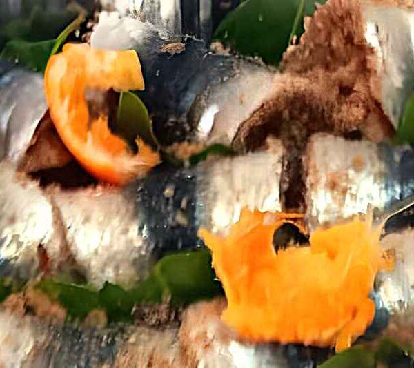 involtini di laici ripiene