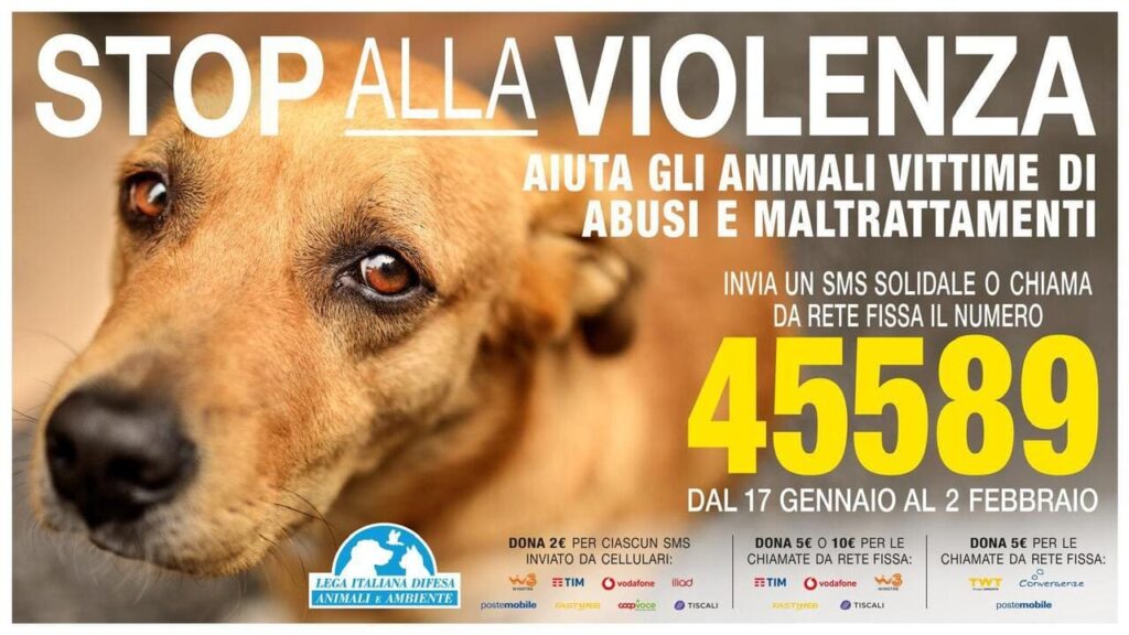 Leidaa sms solidale recupero animali abbandonati