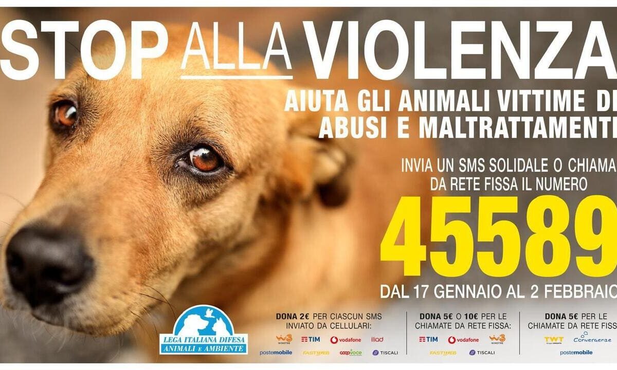 Leidaa animali abbandonati