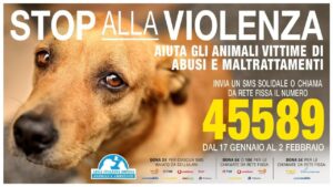 Leidaa animali abbandonati