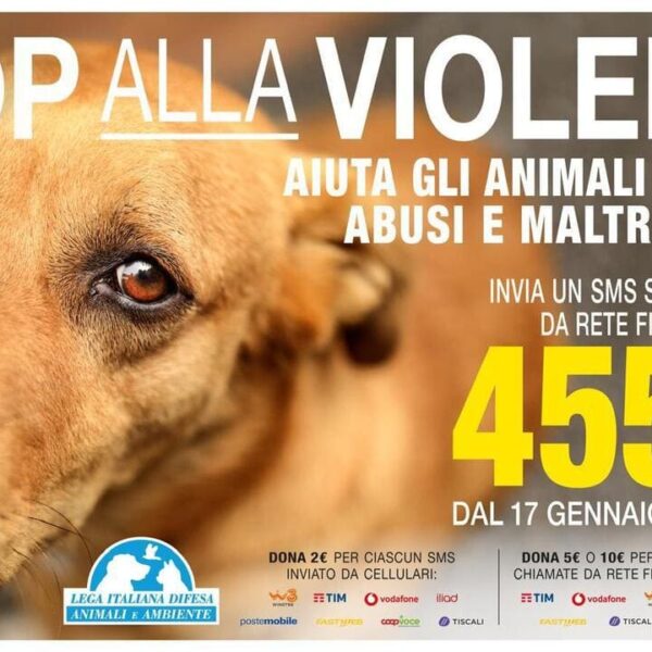 Leidaa: invia un sms solidale per aiutare gli animali vittime di abusi e maltrattamenti