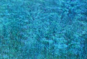 Daydreams Mirta Lispi