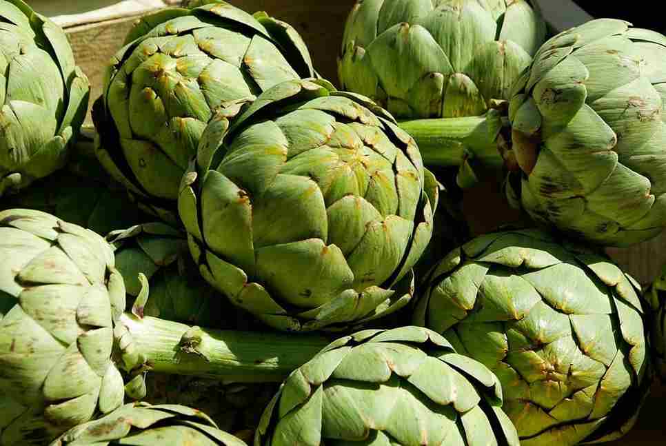 Carciofi Giudia cucina ingredienti