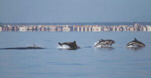 Eventi culturali Ostia Antica