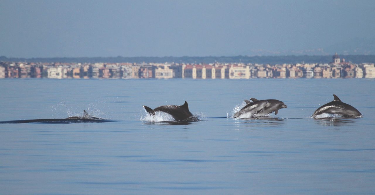 Eventi culturali Ostia Antica