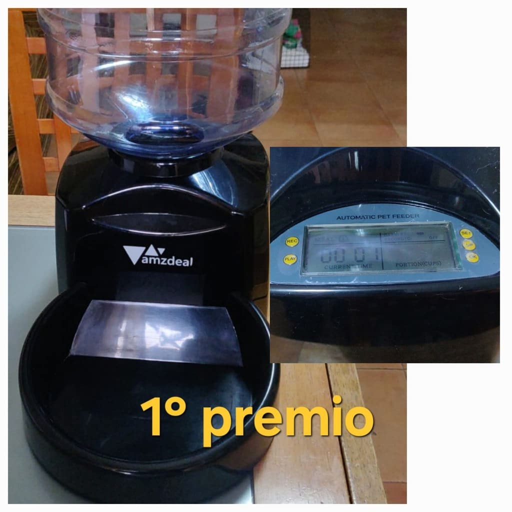 Lotteria gattini