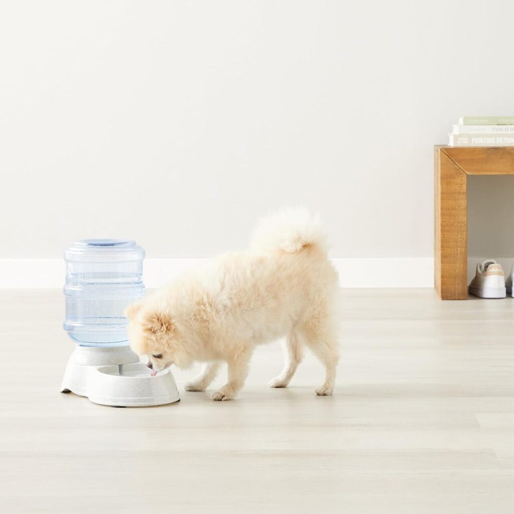 Distributore di acqua per animali domestici
