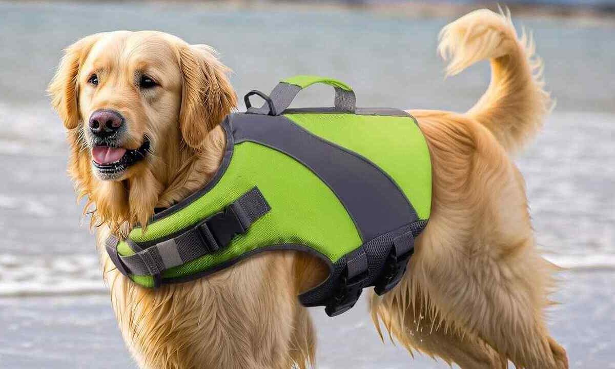 Giubbottino Galleggiante per Cane