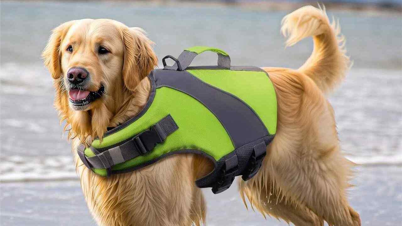 Giubbottino Galleggiante per Cane