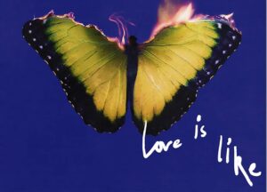 nuovo album dei Maroon 5