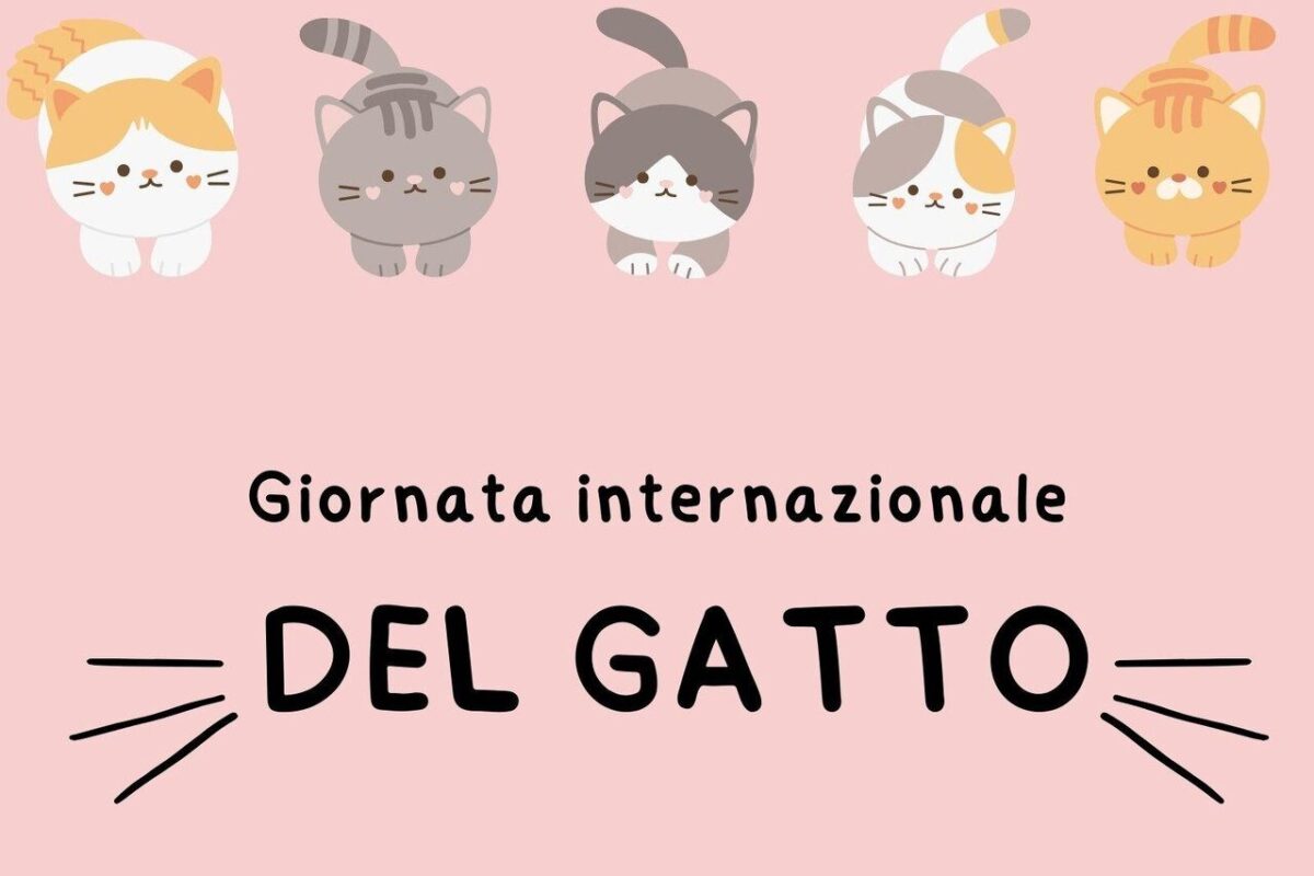 GIORNATA INTERNAZIONALE DEL GATTO