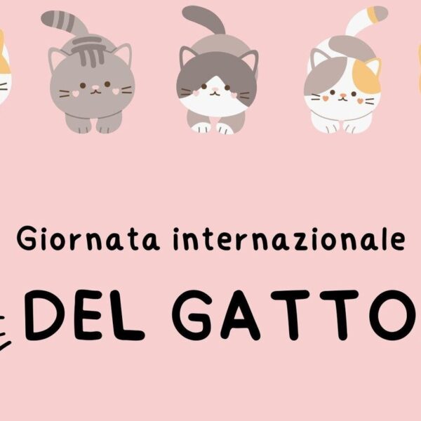 GIORNATA INTERNAZIONALE DEL GATTO