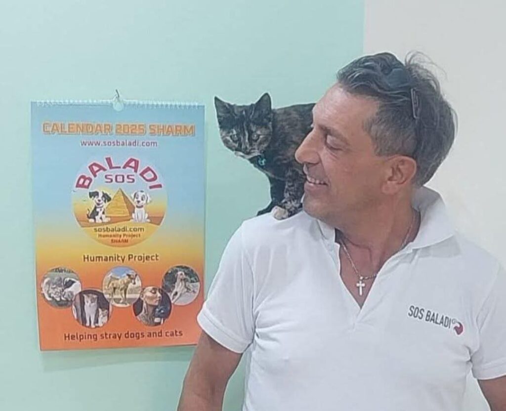 Marco Licata animai cani baladi
