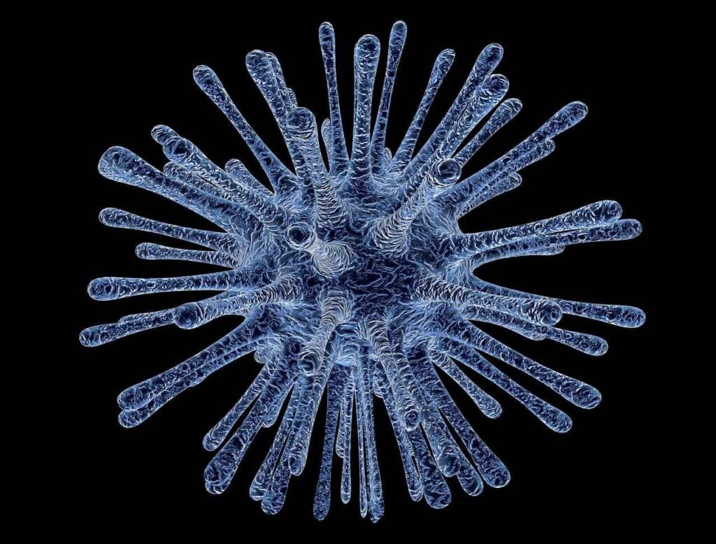 West Nile Virus: cosa sapere per proteggersi